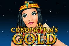 Ted Bingo game-thumb